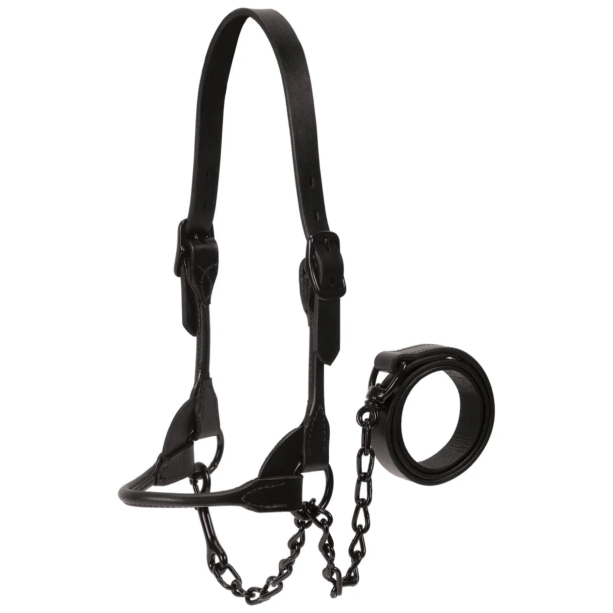 Weaver Show Halter, Black Magic, Large 80401-60