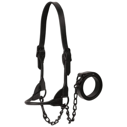 Weaver Show Halter, Black Magic, Large 80401-60