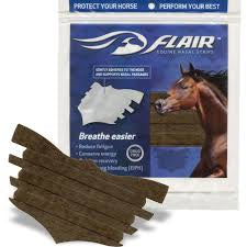 FLAIR EQUINE NASAL STRIPS, PACKAGE OF 6