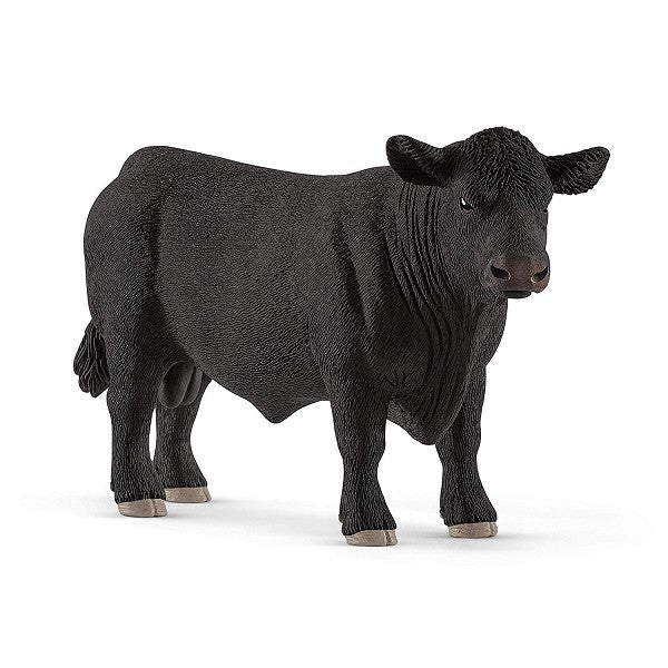 Angus bull
