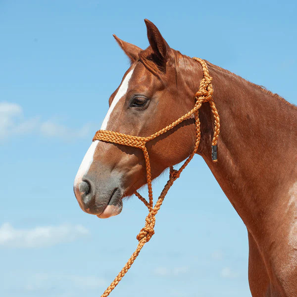 Mule Tape Halter & Lead by Cashel®, Copper