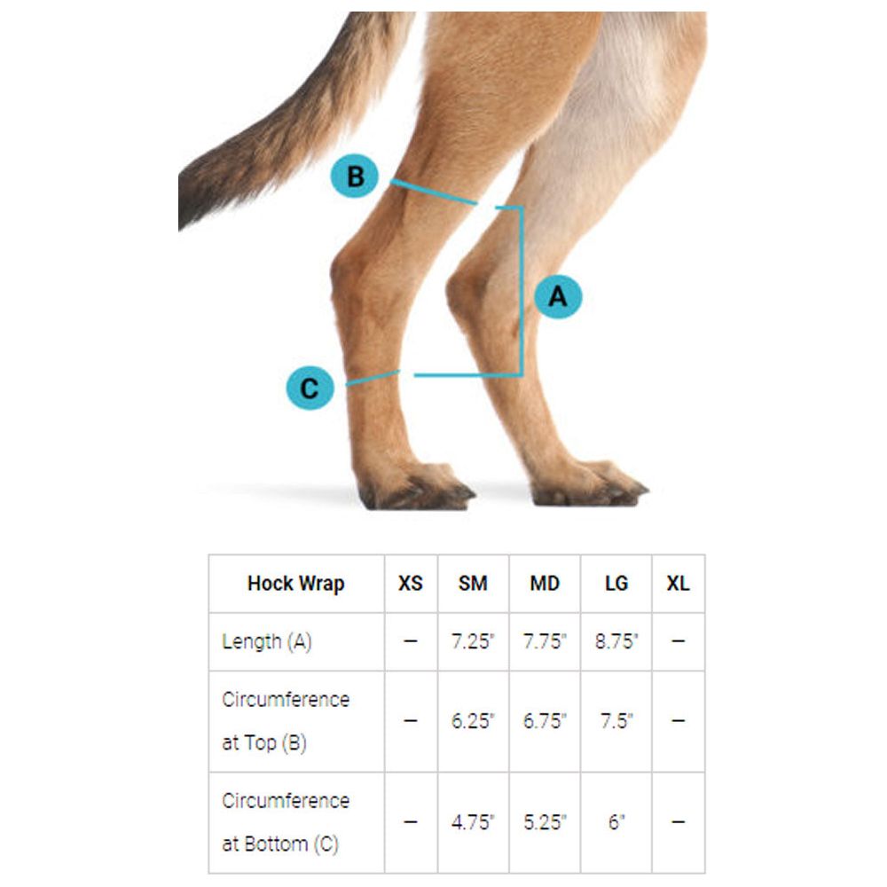BACK ON TRACK Dog Hock Brace, pair – with 4 Self Fastening Straps