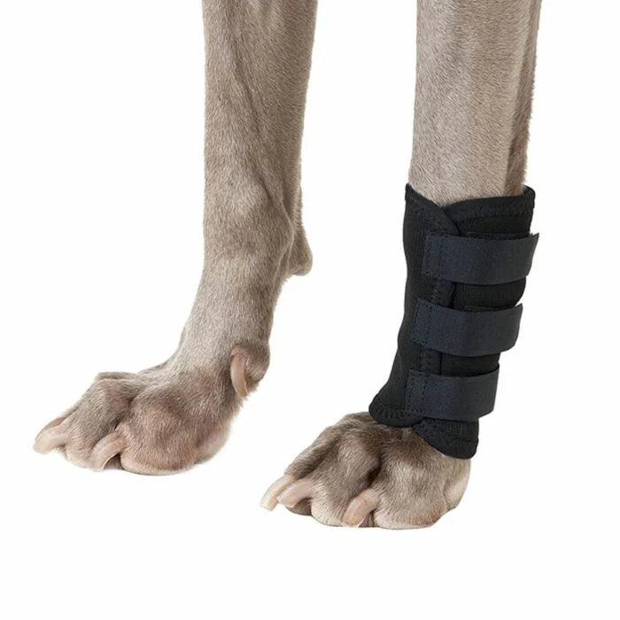 Back on Track Dog Leg Wraps