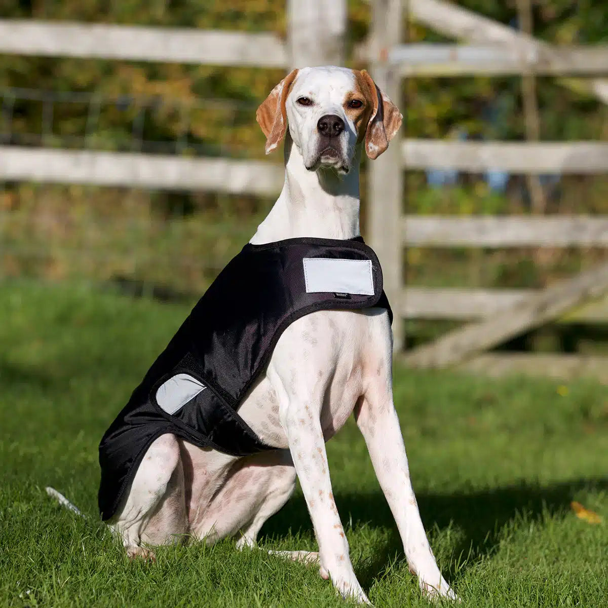 Back on track “Hugo” Standard Dog Rug