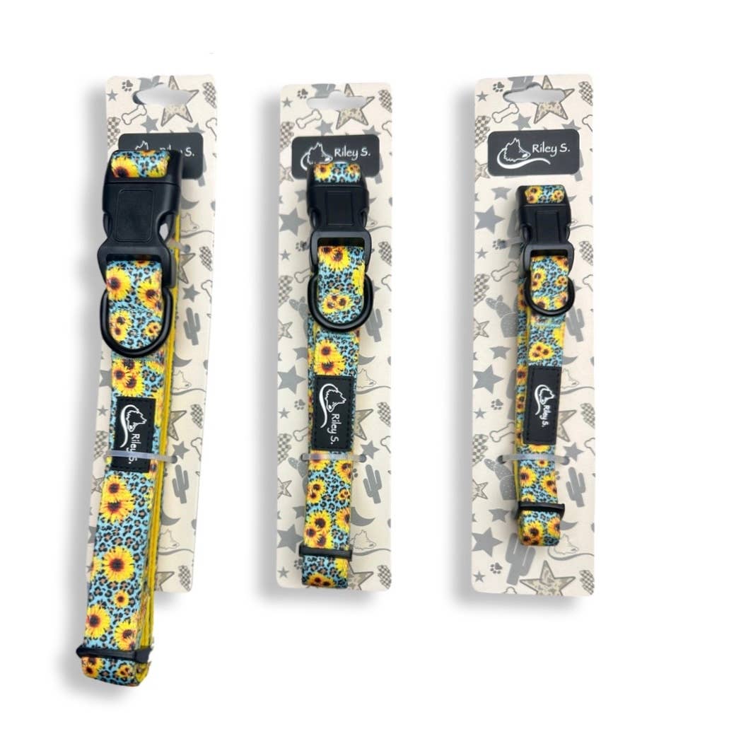 Riley S. Dog Collar