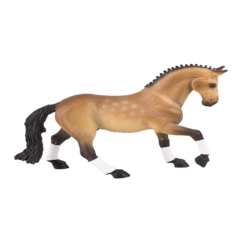 Trakehner Gelding