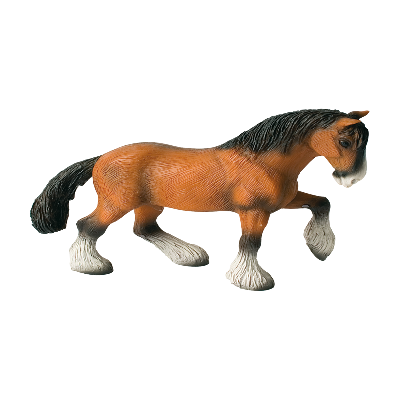 Shire Horse Gelding