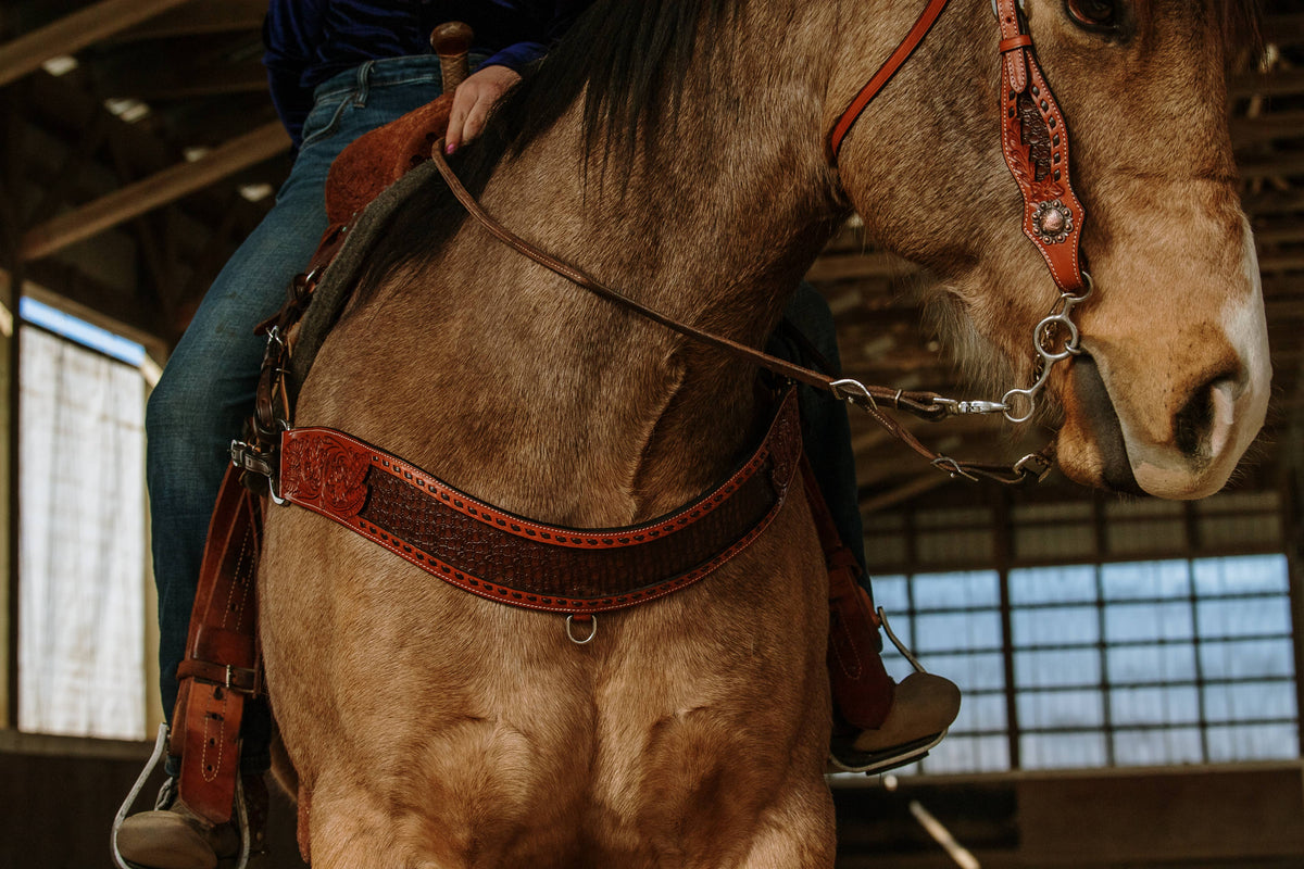 Wyatt Earp Tripping Collar