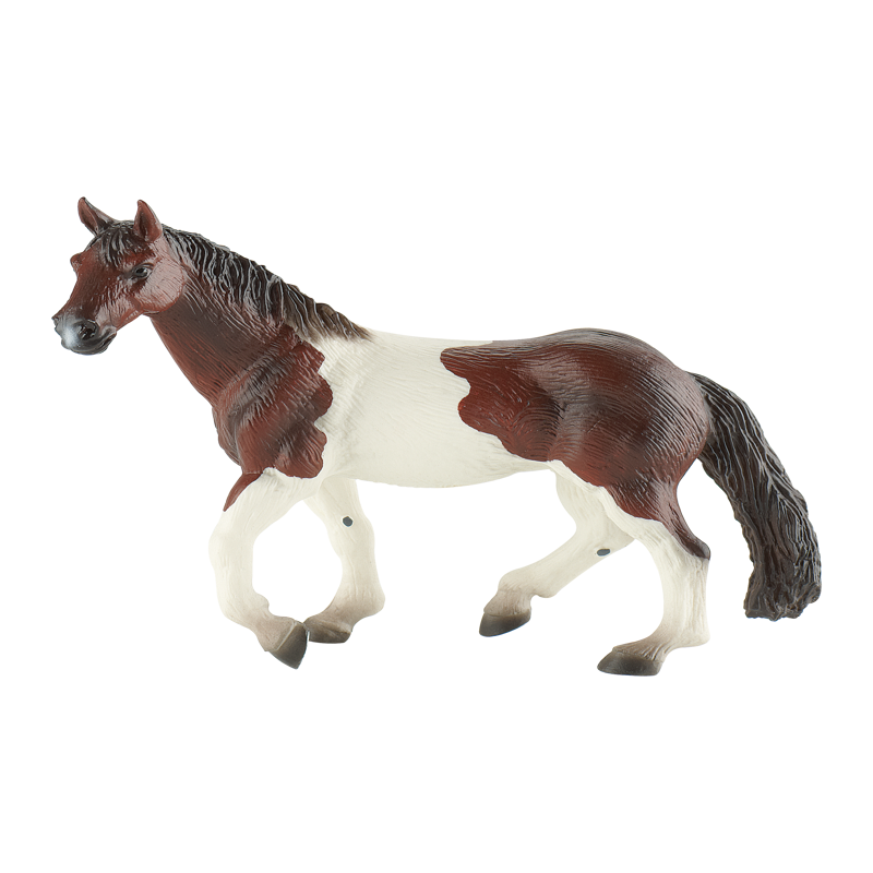 Paint Horse Mare