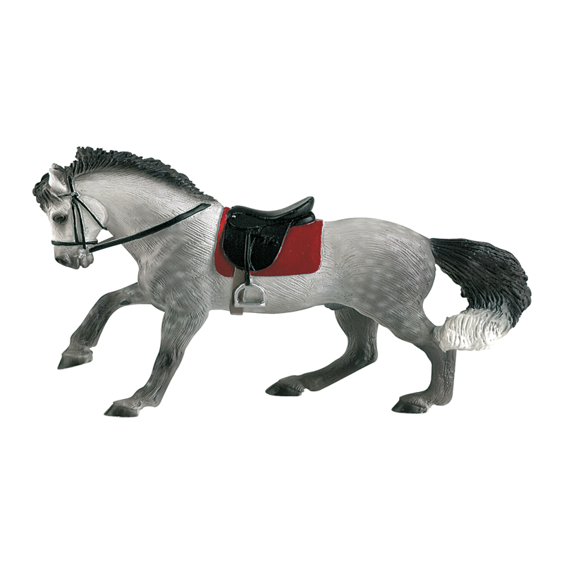 Andalusian Gelding