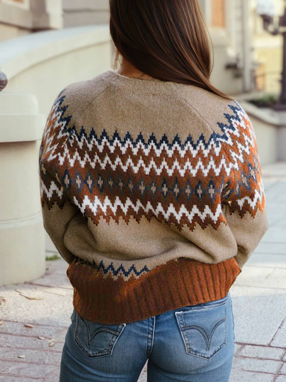 Western Print Colorblock Crew Neck Sweater