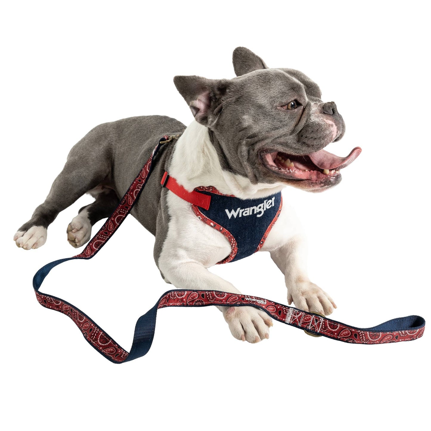 Wrangler Red Bandana Lead