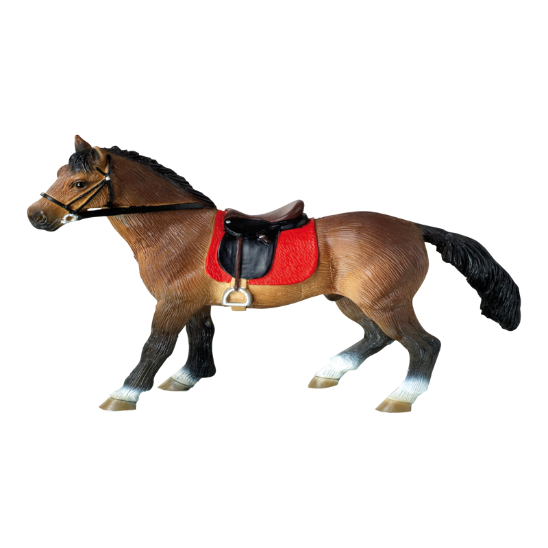 Hanoverian Stallion
