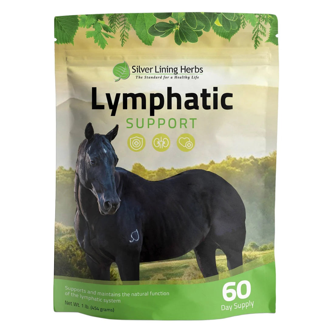 Silver Lining Herbs 35 Lymphatic Support 1 LB