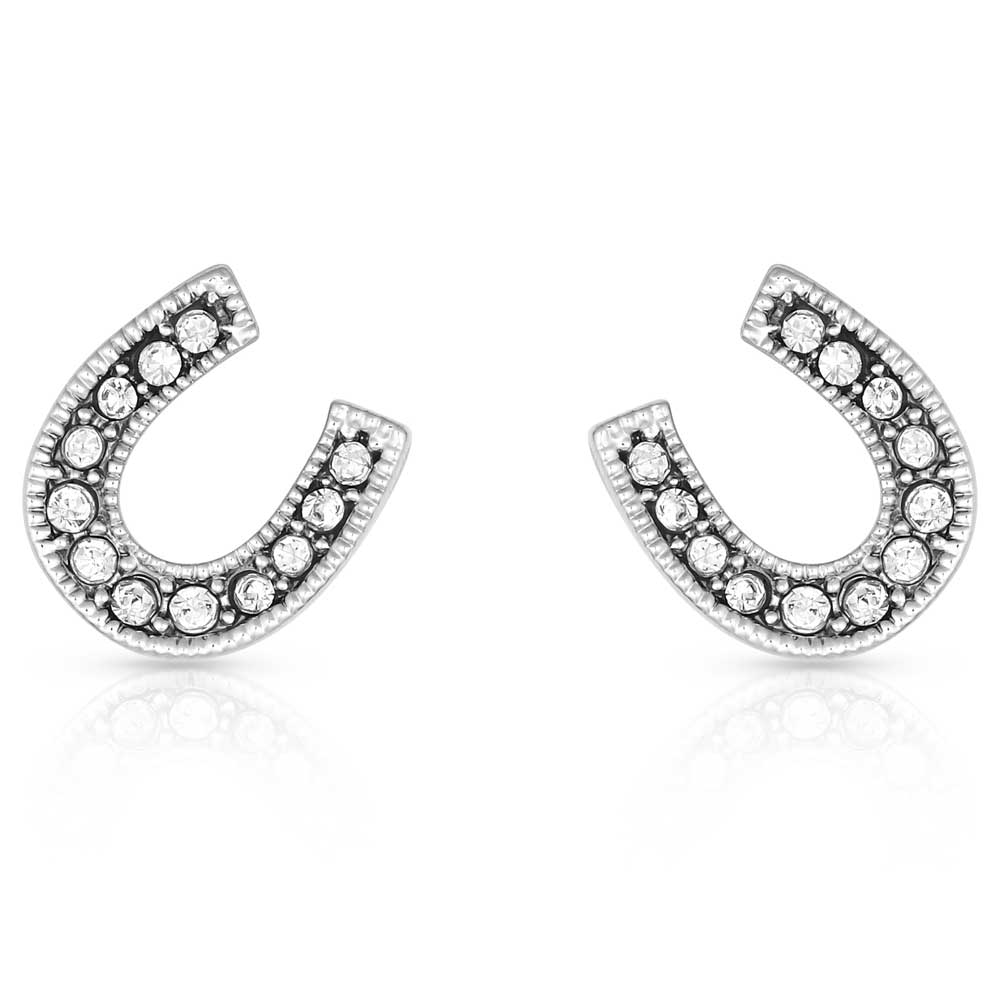 Montana Silversmith Classic Sparkle Horseshoe Earrings ER808