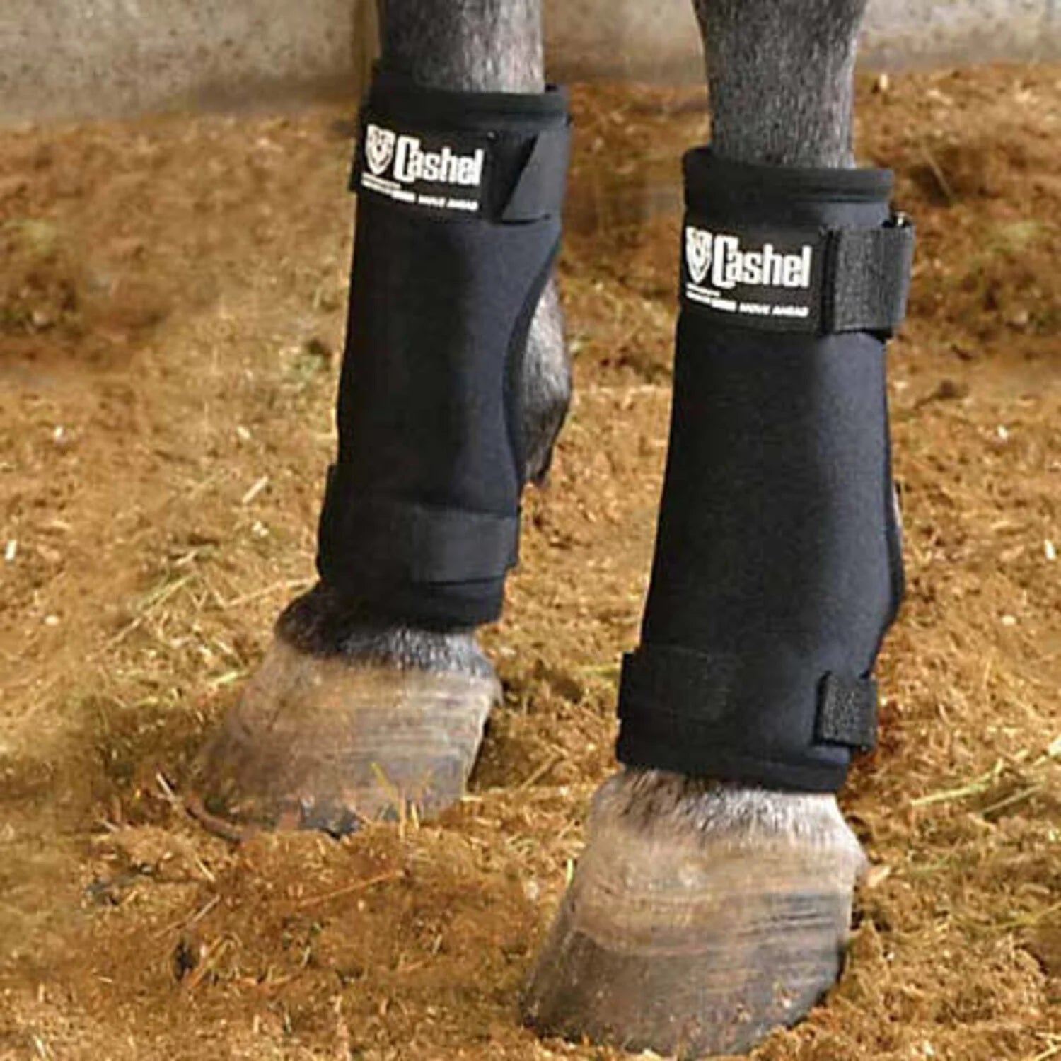 Horse Boots & Wraps