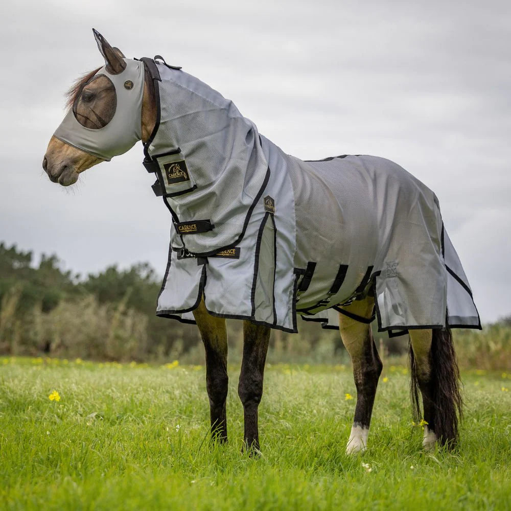 Fly Mask Sheets & Boots