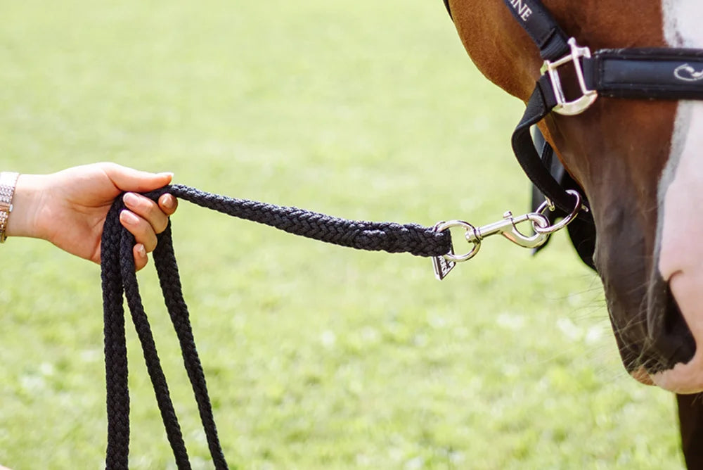 Horse Leads