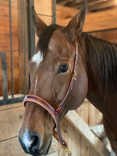 Nosebands & Tie Downs