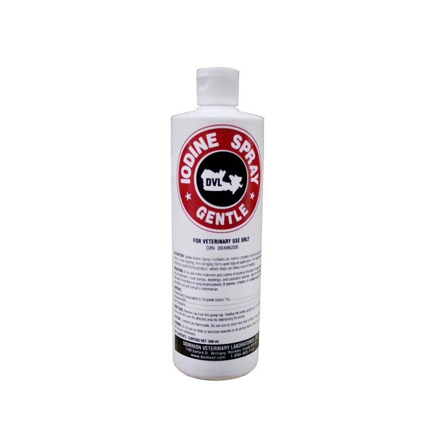 DVL Iodine Spray 1% 500ml