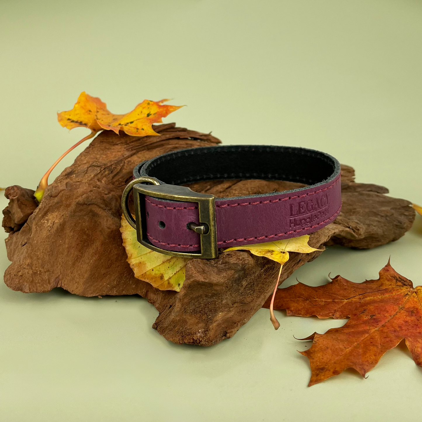 HugglePets Legacy Leather Dog Collar