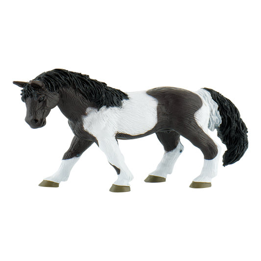Lewitzer Mare