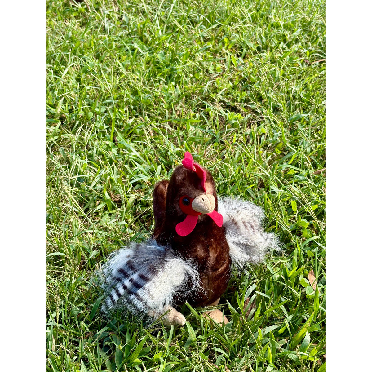9" (20cm) Wild Onez Chicken Brown