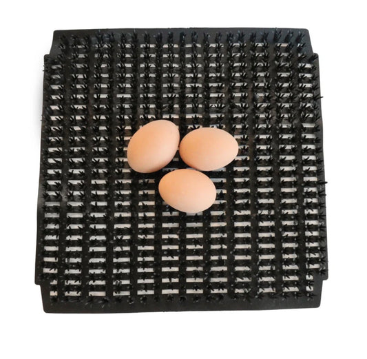 LITTLE GIANT | MILLER MANUFACTURING Reusable Poultry Nesting Pads 6/pk