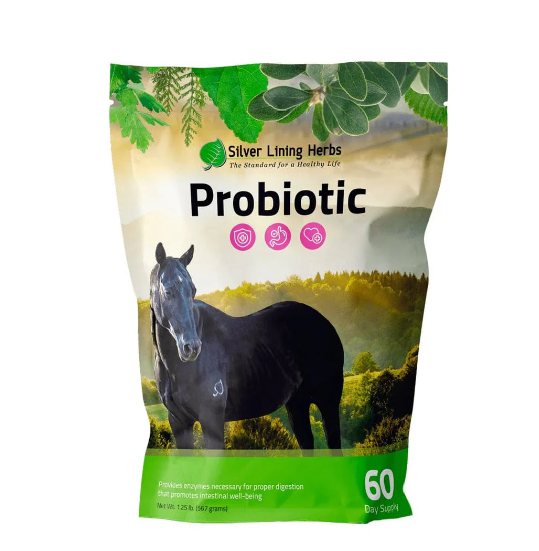 Silver Lining Herbs Probiotic 454gm