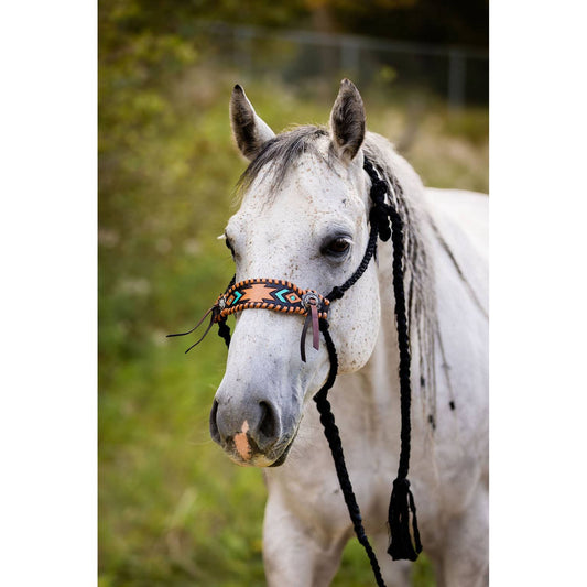 Braided Bronc Halter