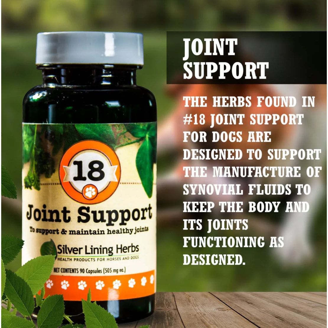 Silver Lining Herbs 18 Joint Support 2oz Powder