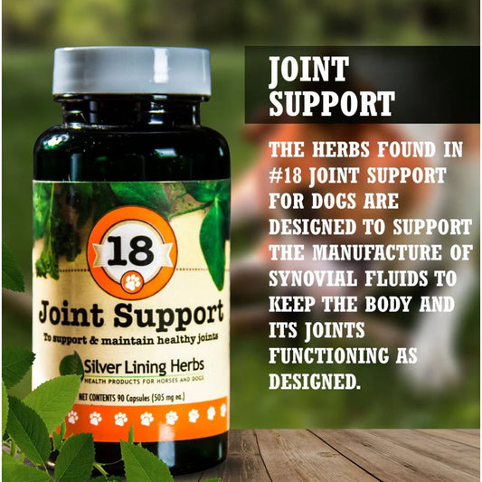 Silver Lining Herbs 18 Joint Support 2oz Powder