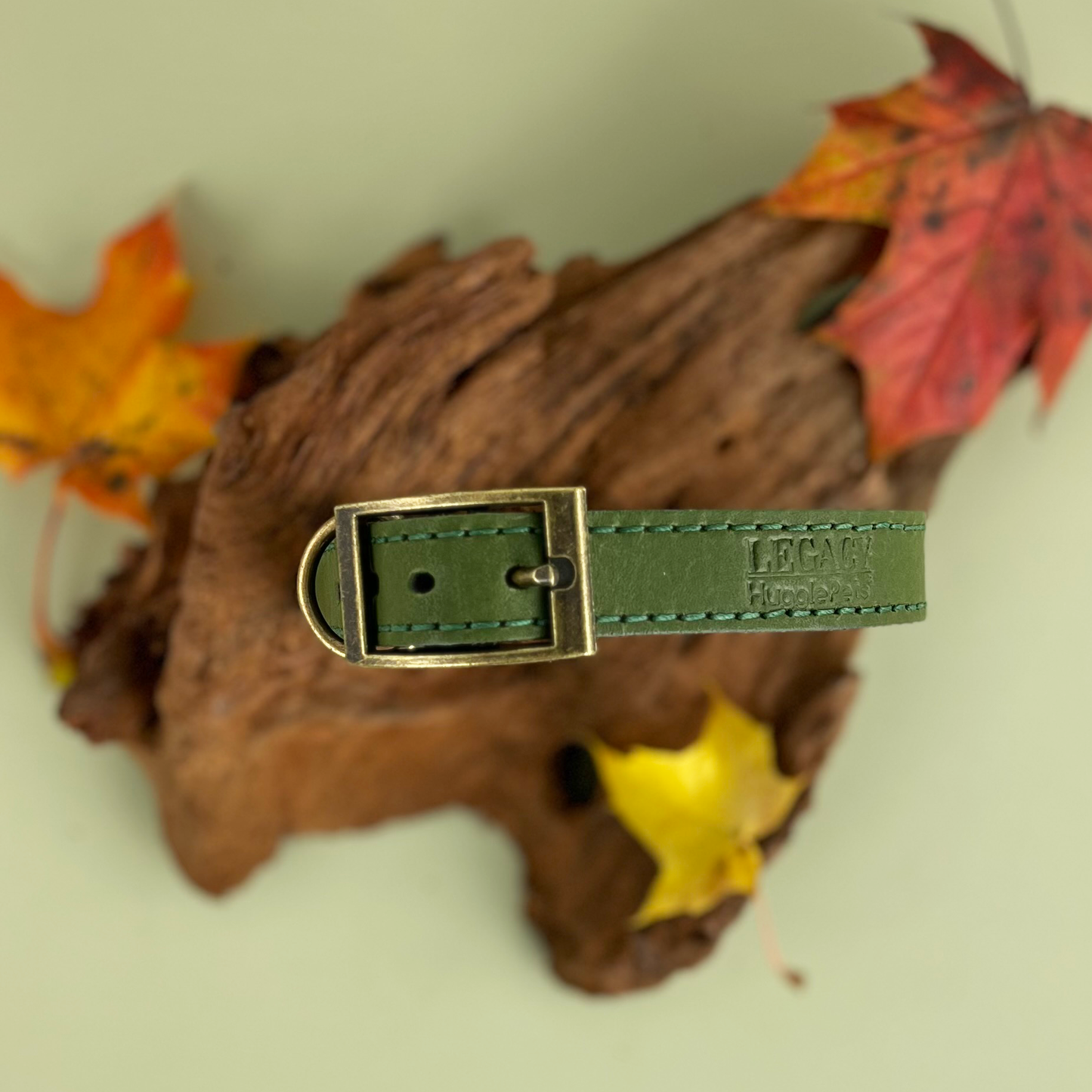 HugglePets Legacy Leather Dog Collar