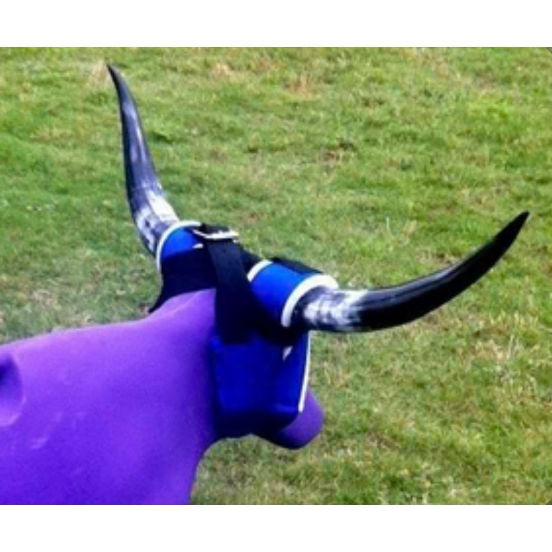 7K Something Steer SuperHorns 36”-42”