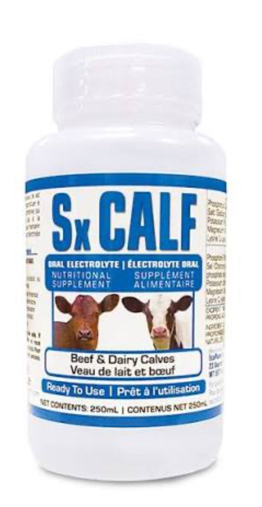 Sx Calf Electrolytes 250ml