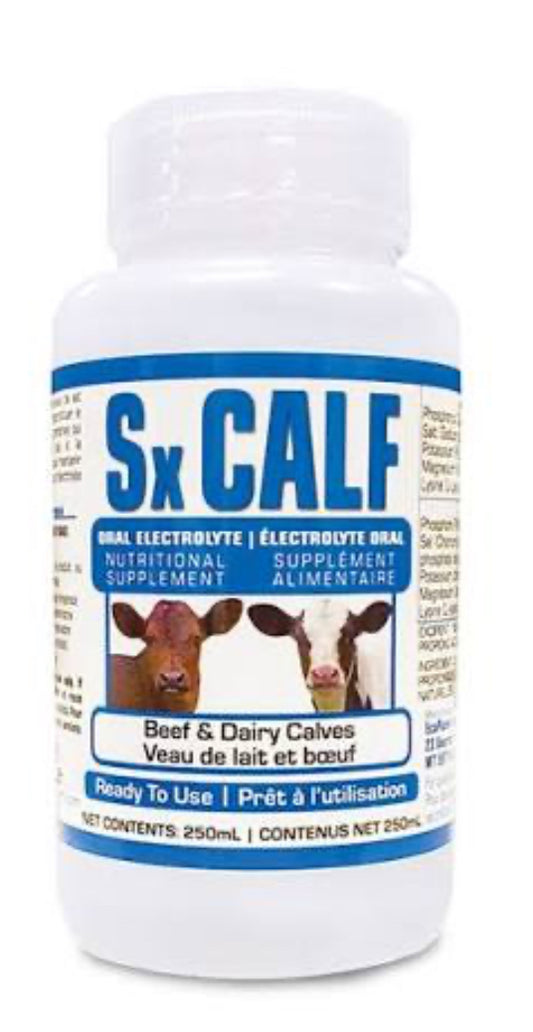 Sx Calf Electrolytes 250ml