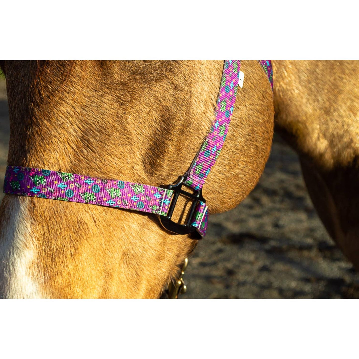 Nylon Halter - Horse Size