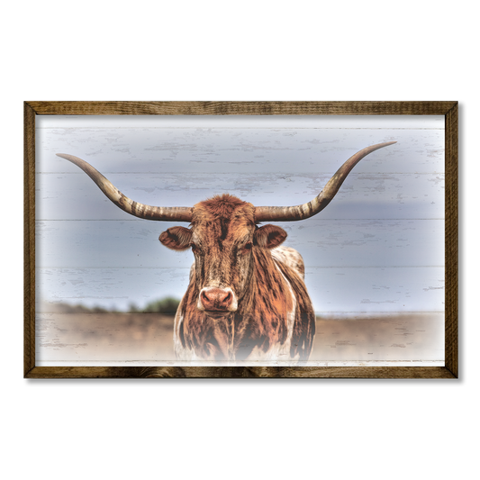 TIMBERLAND FRAME LONGHORN