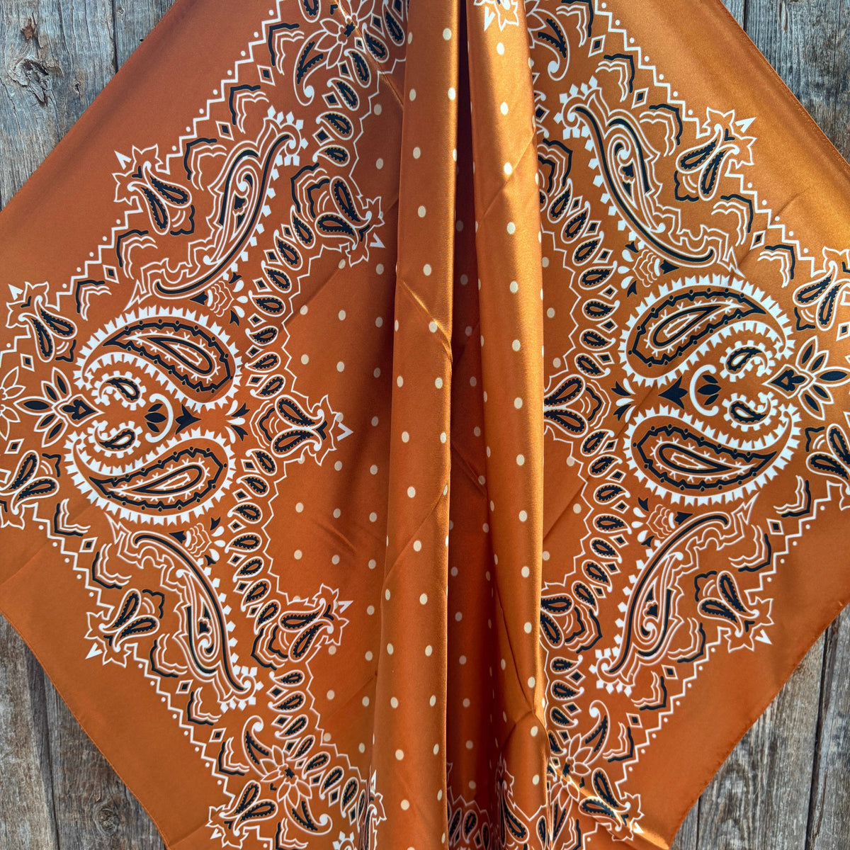 Rust Paisley Wild Rag - Western Scarf