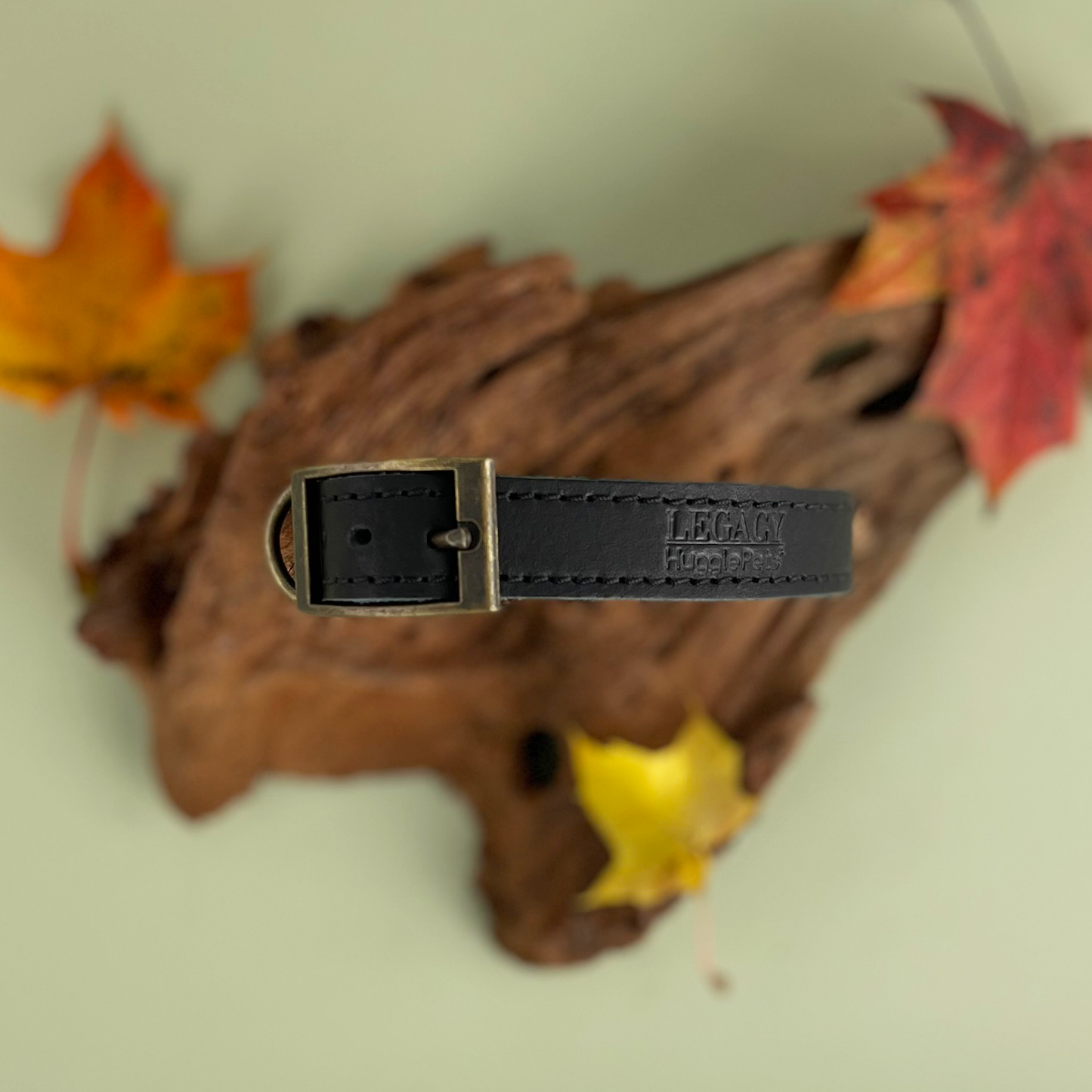 HugglePets Legacy Leather Dog Collar