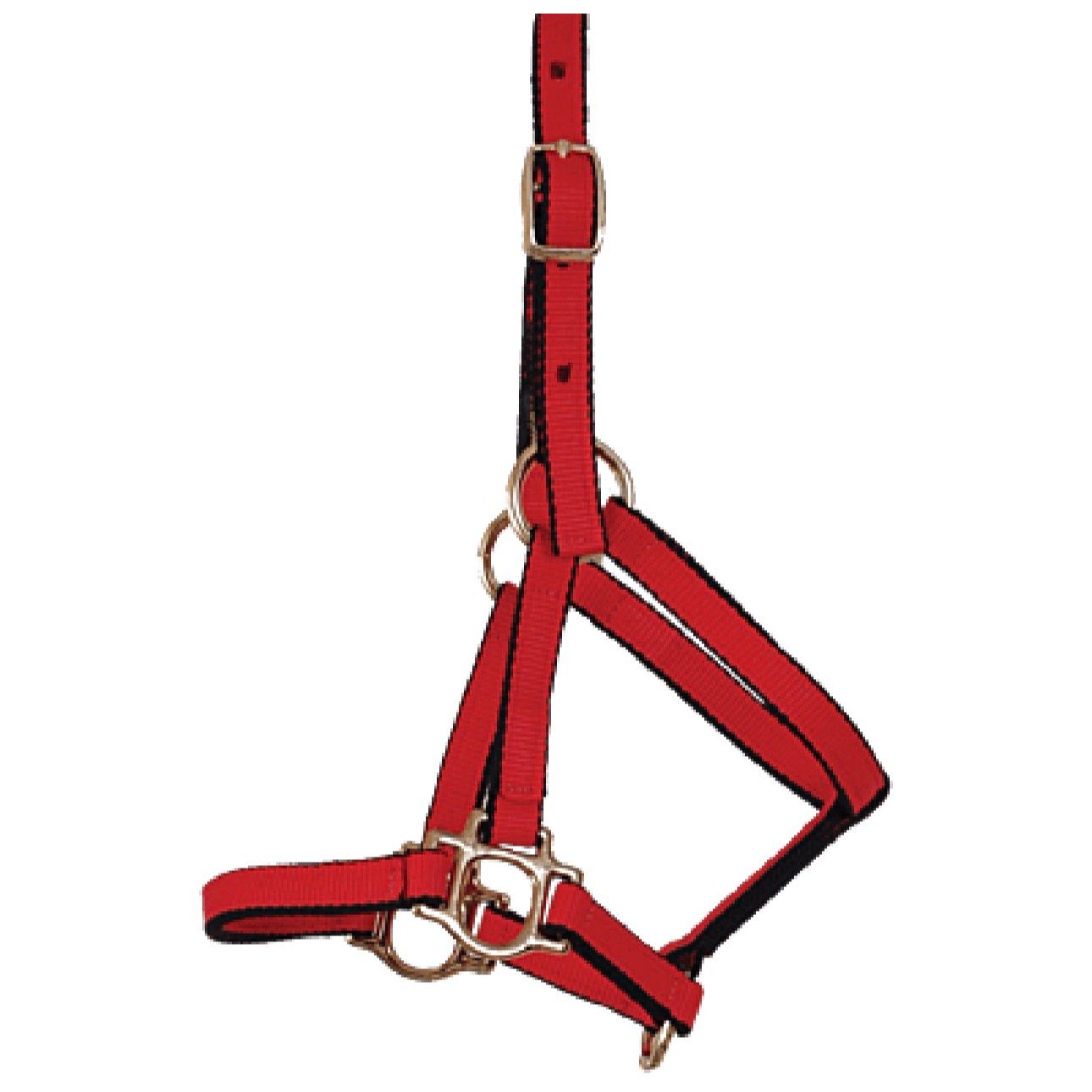 Burwash Ultimate Halter