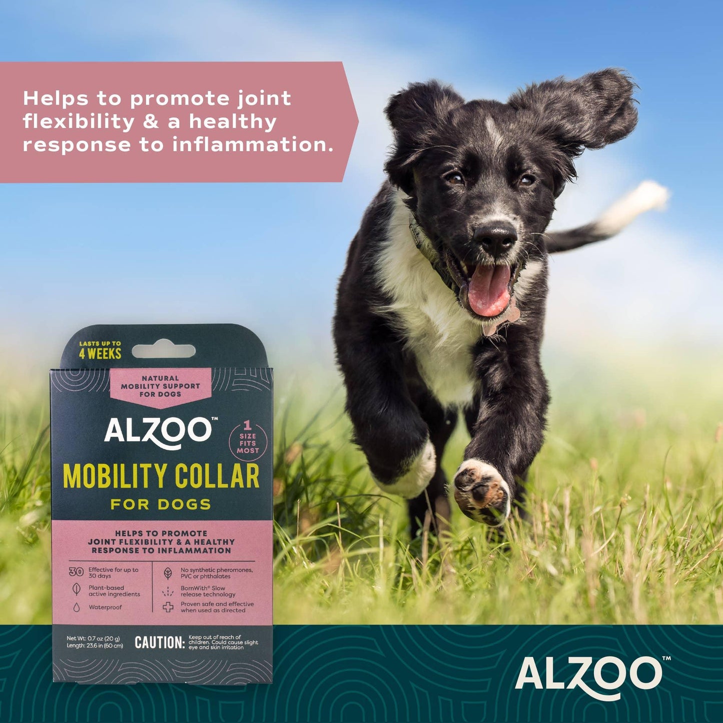 ALZOO - ALZOO Plant-Based Mobility Collar for Dogs