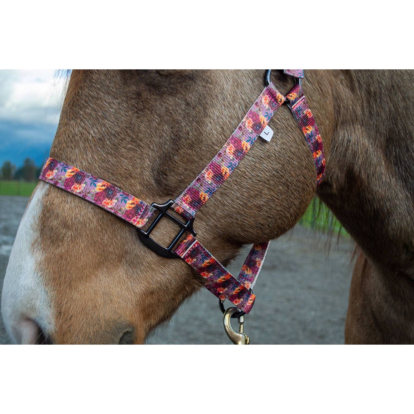 Nylon Halter - Horse Size