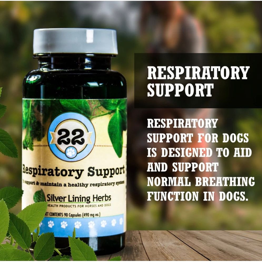 Silver Lining Respiratory Support for Dogs 90 Capsules
