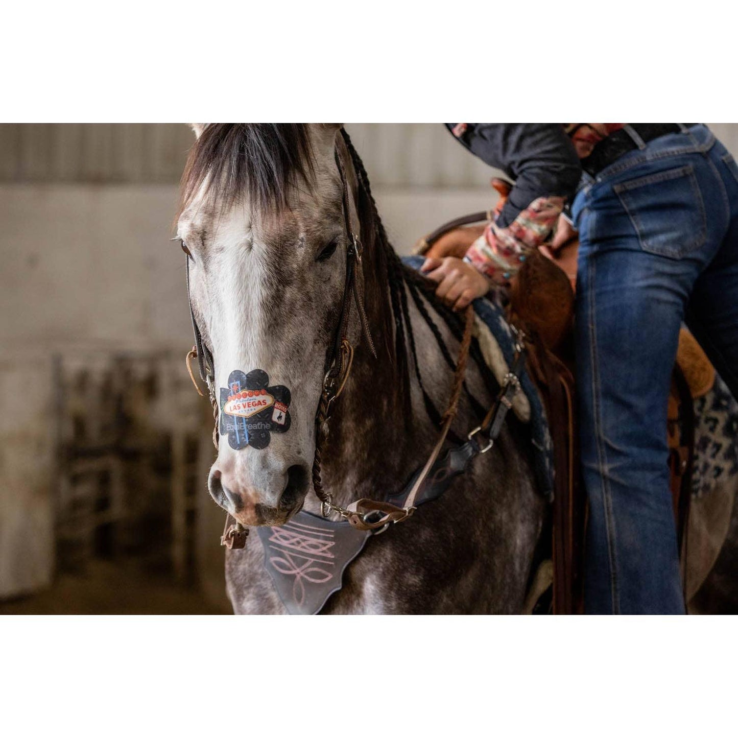 EquiBreathe™ - EquiBreathe™ Equine Nasal Patch - Vegas