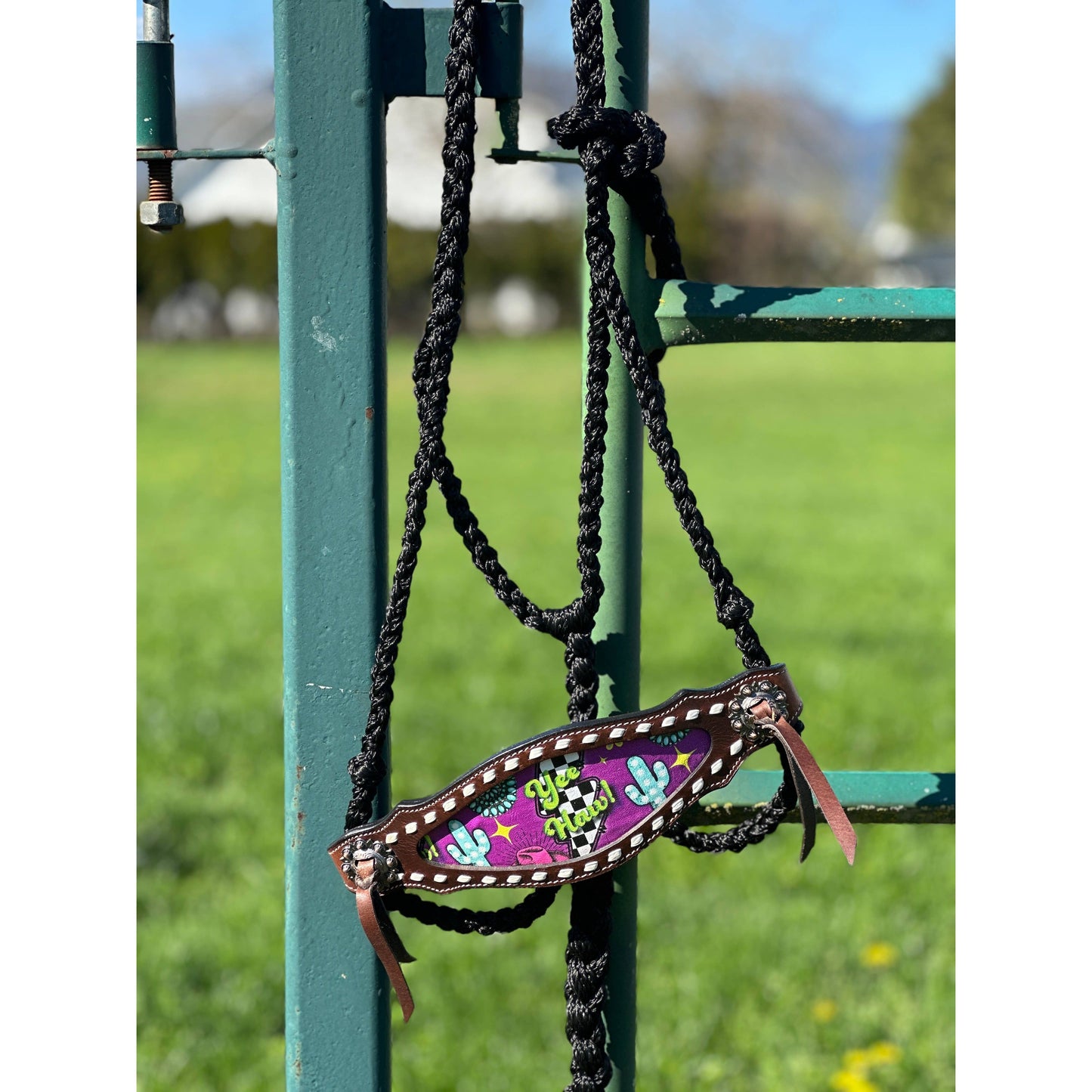 Braided Bronc Halter