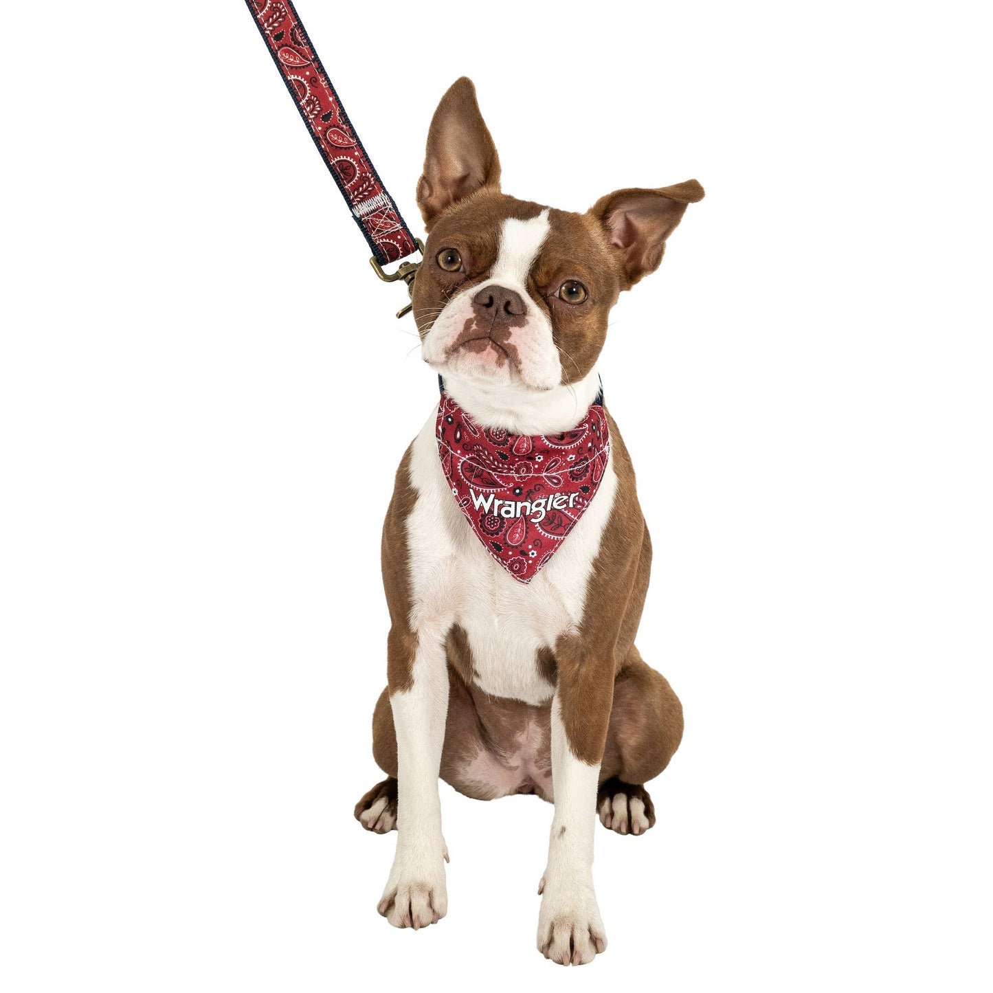 Wrangler Red Bandana Lead