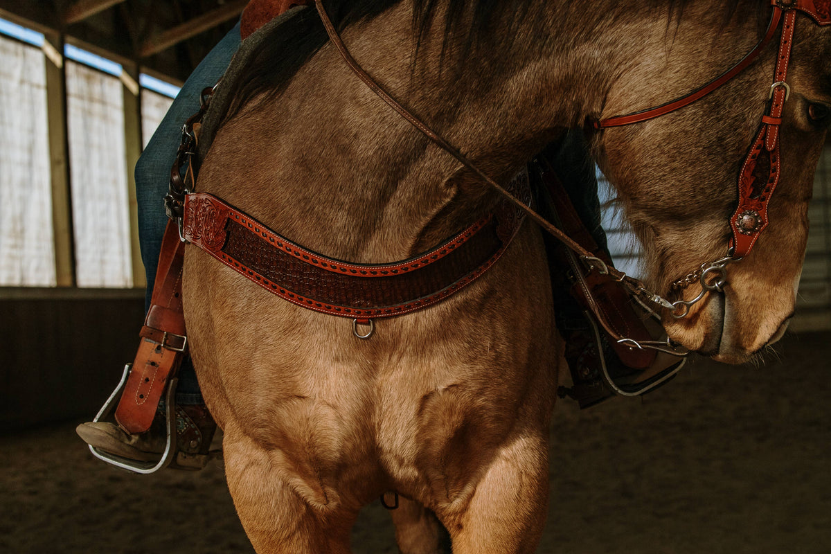 Wyatt Earp Tripping Collar