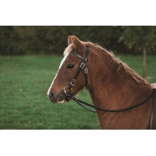 WESTERN RAWHIDE PLAIN PONY BRIDLE & REINS 202015