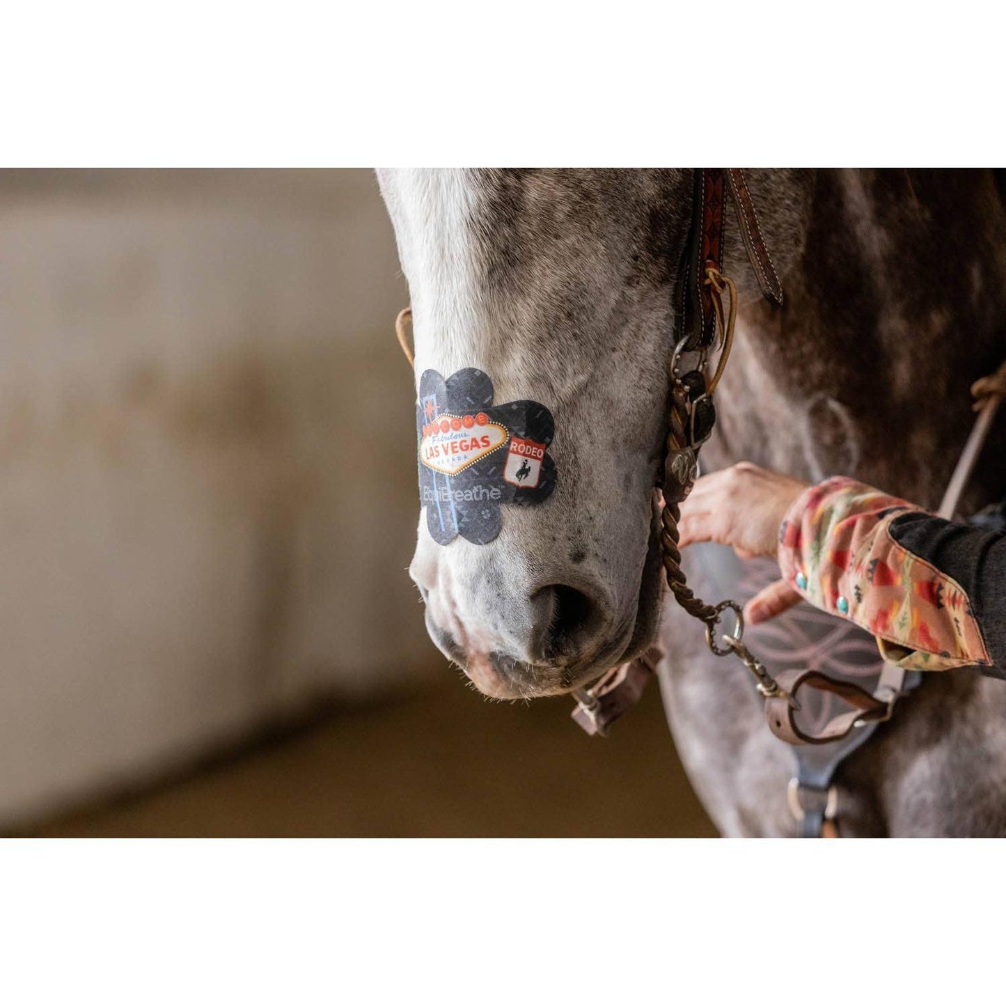 EquiBreathe™ - EquiBreathe™ Equine Nasal Patch - Vegas